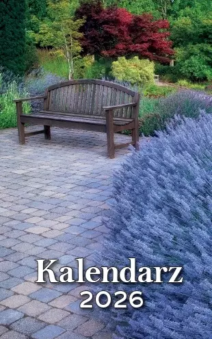 Kalendarz zdzierak tradycyjny 2026 z poradami zrywany zdzierany - Książki