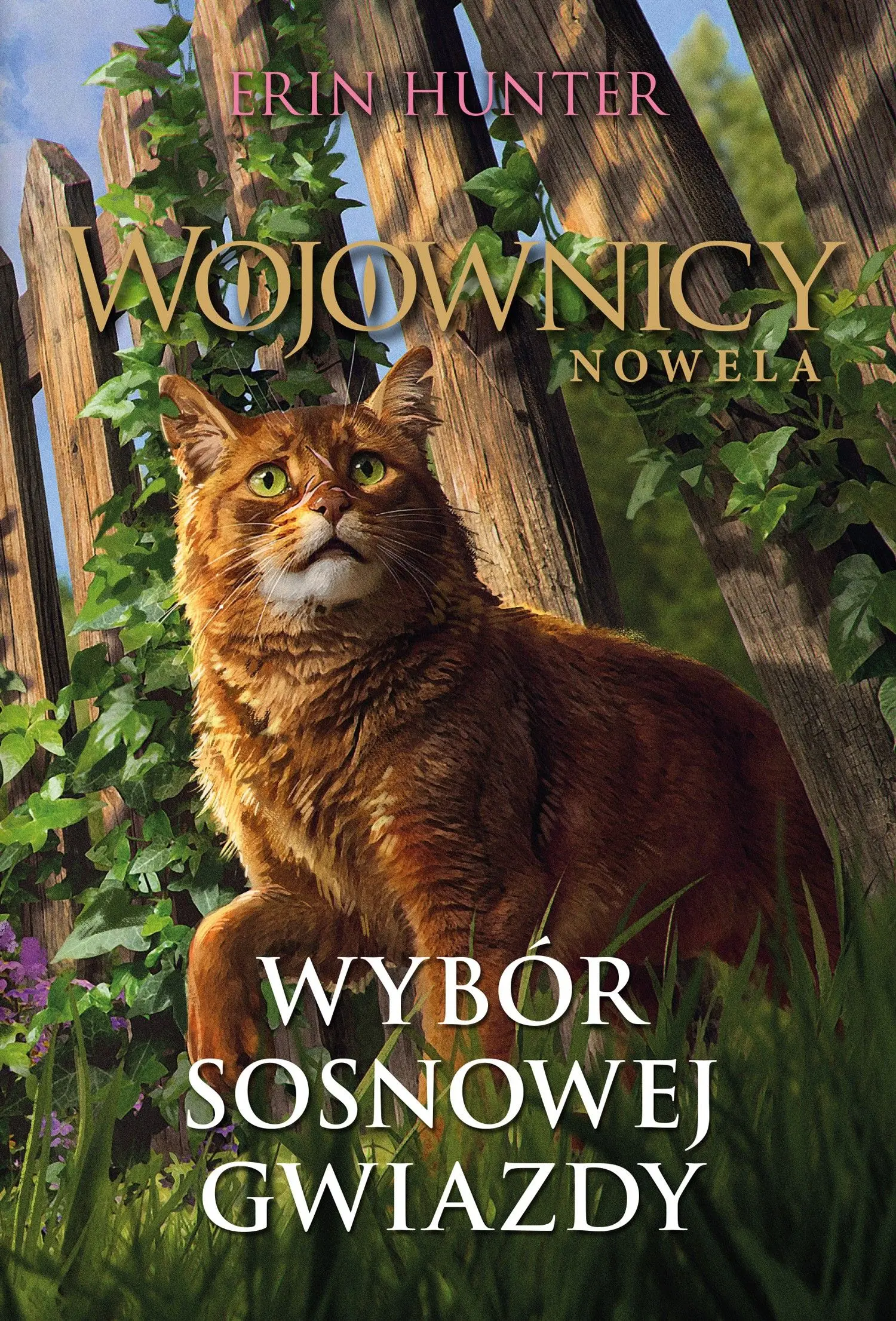 Wybór Sosnowej Gwiazdy - Książki