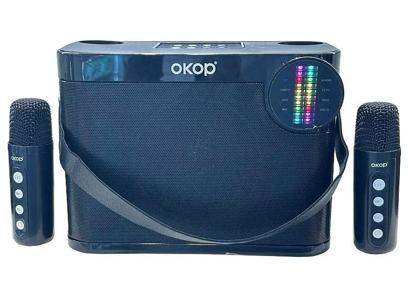 Głośnik karaoke z 2 mikrofonami kabel USB - Elektronika i akcesoria