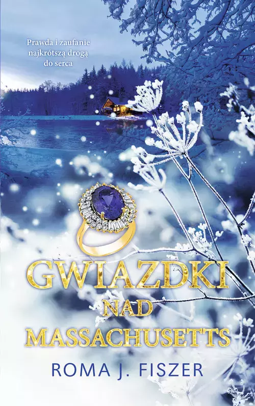 Gwiazdki nad Massachusetts - Książki