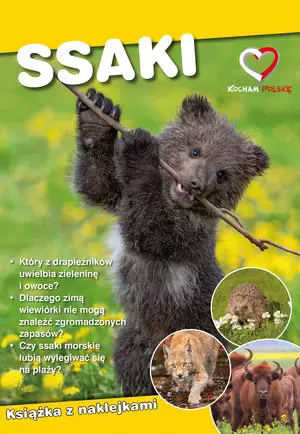 Ssaki. Ekoprzewodnik młodego odkrywcy - Książki