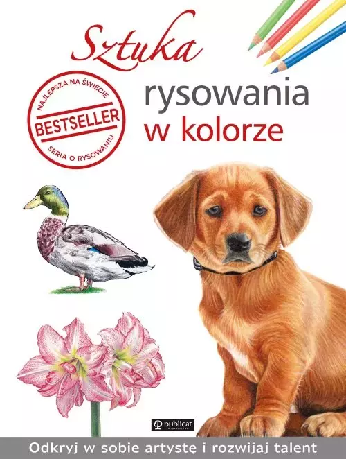 Sztuka rysowania w kolorze - Książki
