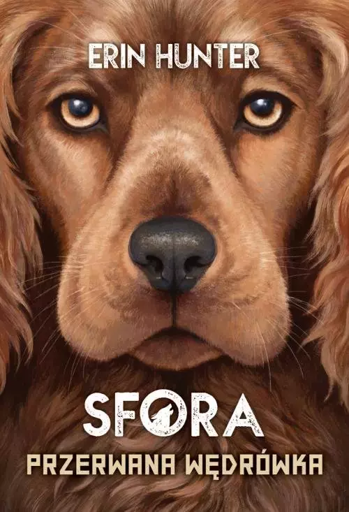 Sfora. Tom 4. Przerwana wędrówka - Książki