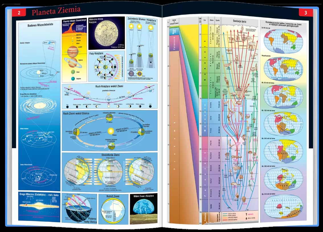 Szkolny atlas geograficzny - Książki