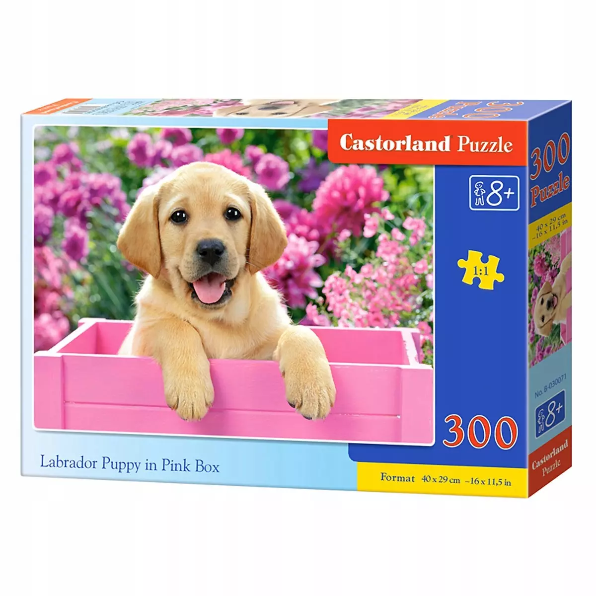 Puzzle 300 elementów. Labrador w różowym pudełku - Puzzle