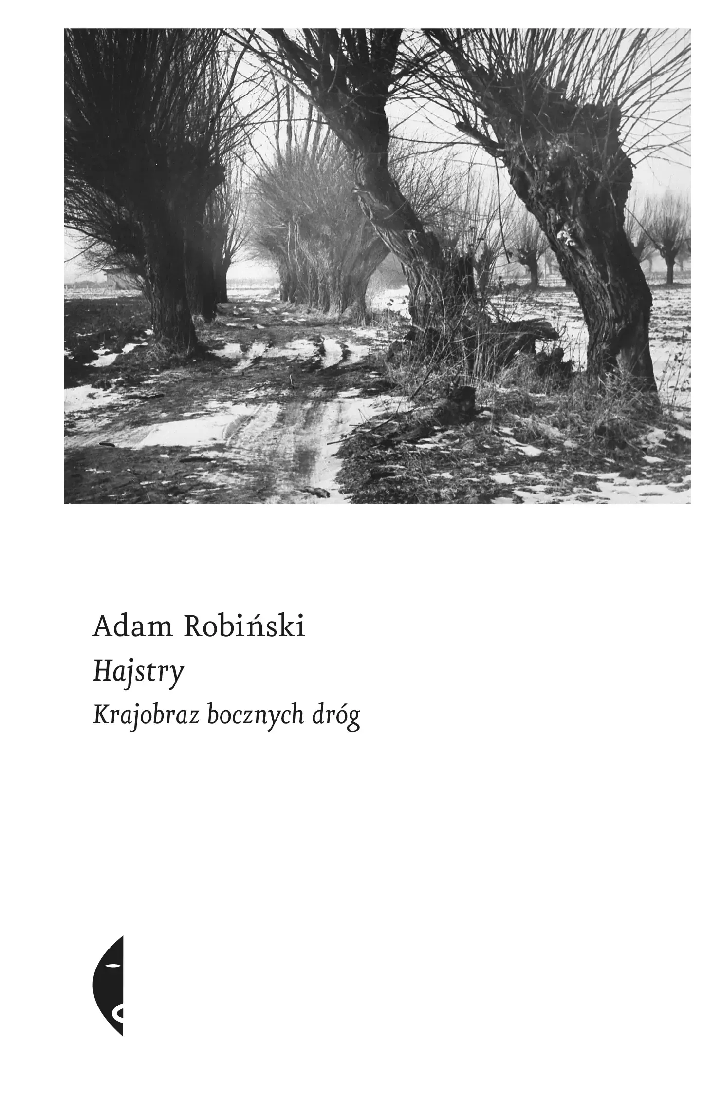 Hajstry. Krajobraz bocznych dróg - Książki