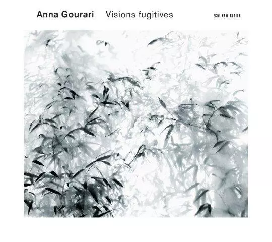 Visions Fugutative - Muzyka