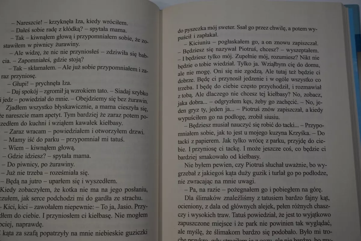 Najwyższa góra świata - Książki
