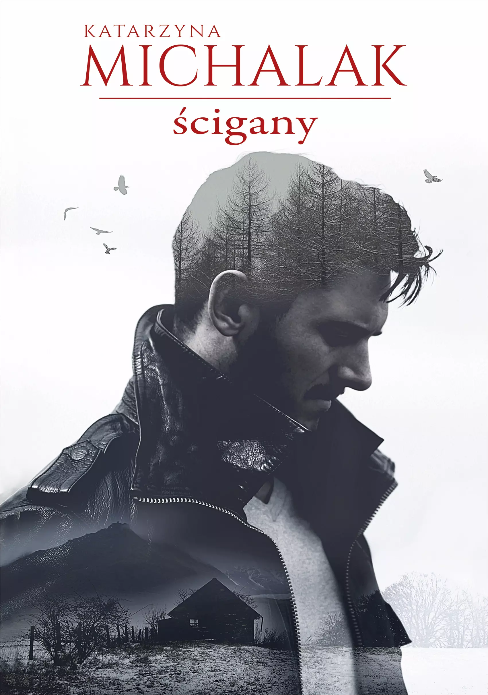 Ścigany - Książki