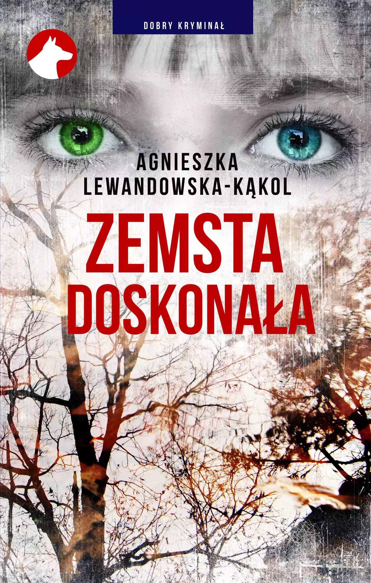 Zemsta doskonała - Książki