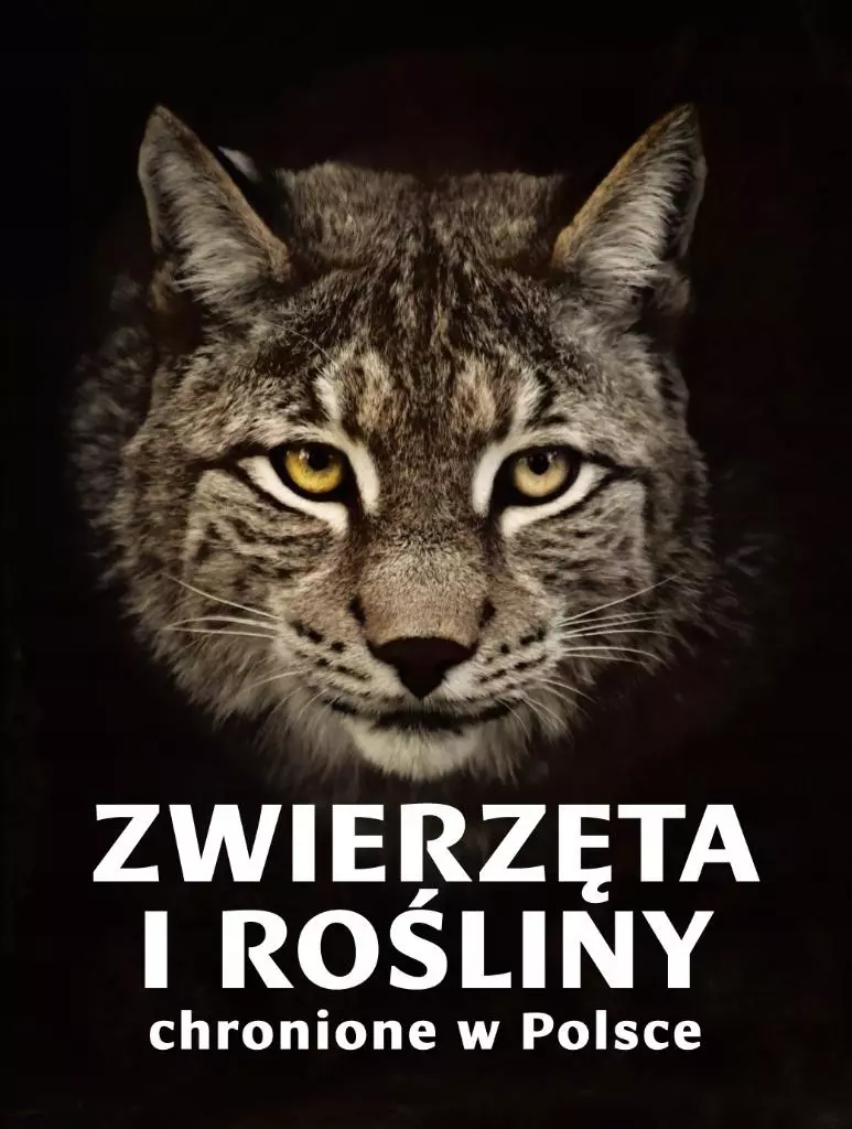 Zwierzęta i rośliny chronione w Polsce - Książki
