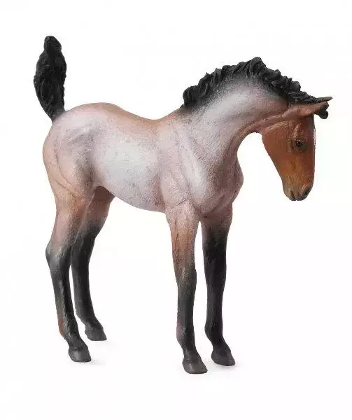 Żrebię Mustang maści gniadej M - Książki