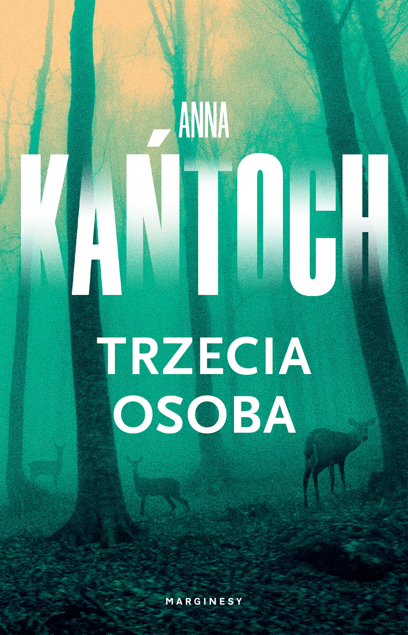 Trzecia osoba - Książki