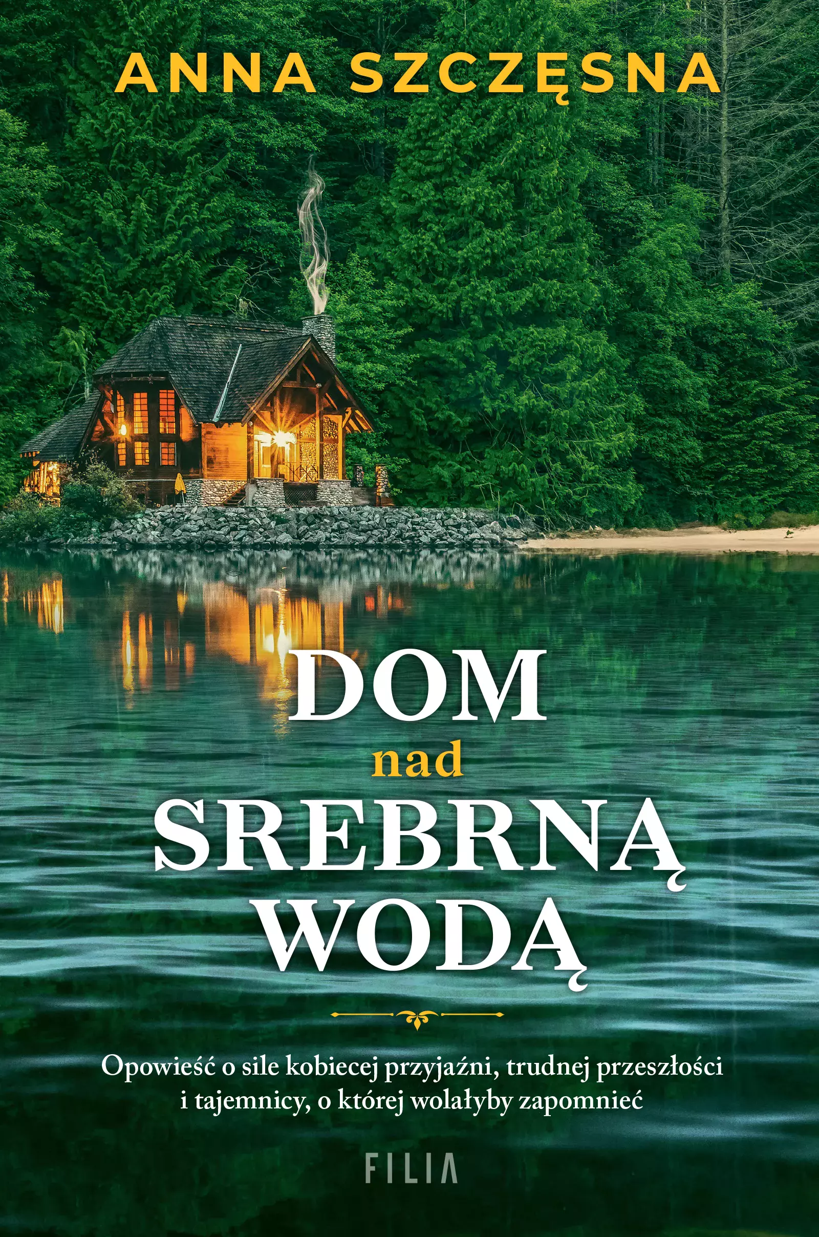 Dom nad srebrną wodą - Książki