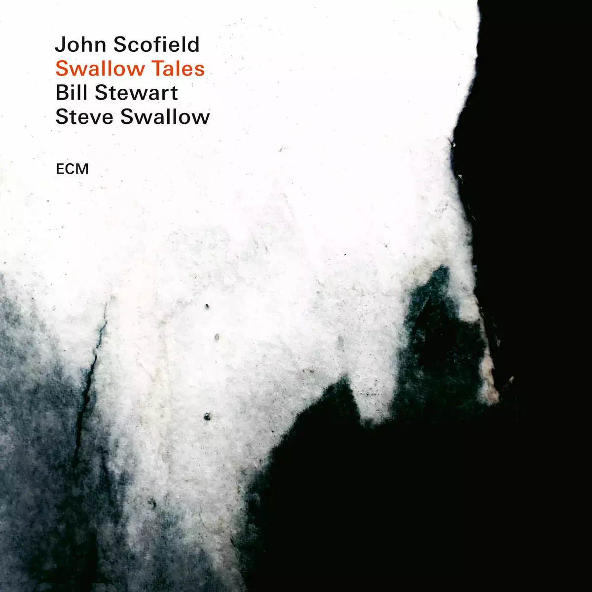 Swallow Tales. Winyl - Muzyka
