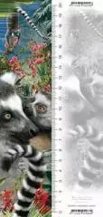 Zakładka 3D Lemur - Książki