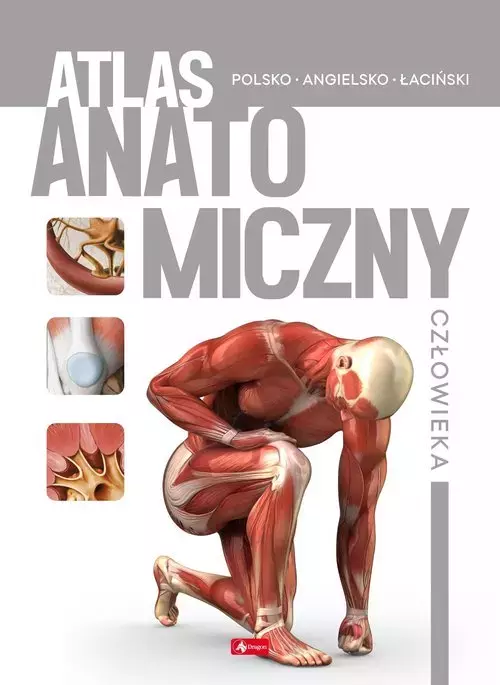 Atlas anatomiczny człowieka - Książki