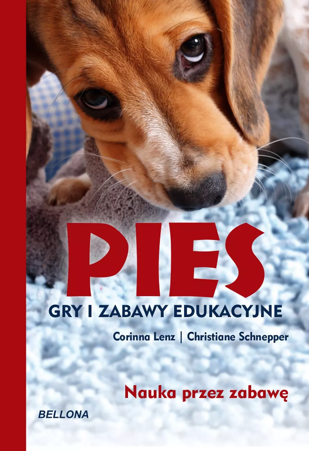 Pies. Gry i zabawy edukacyjne - Książki