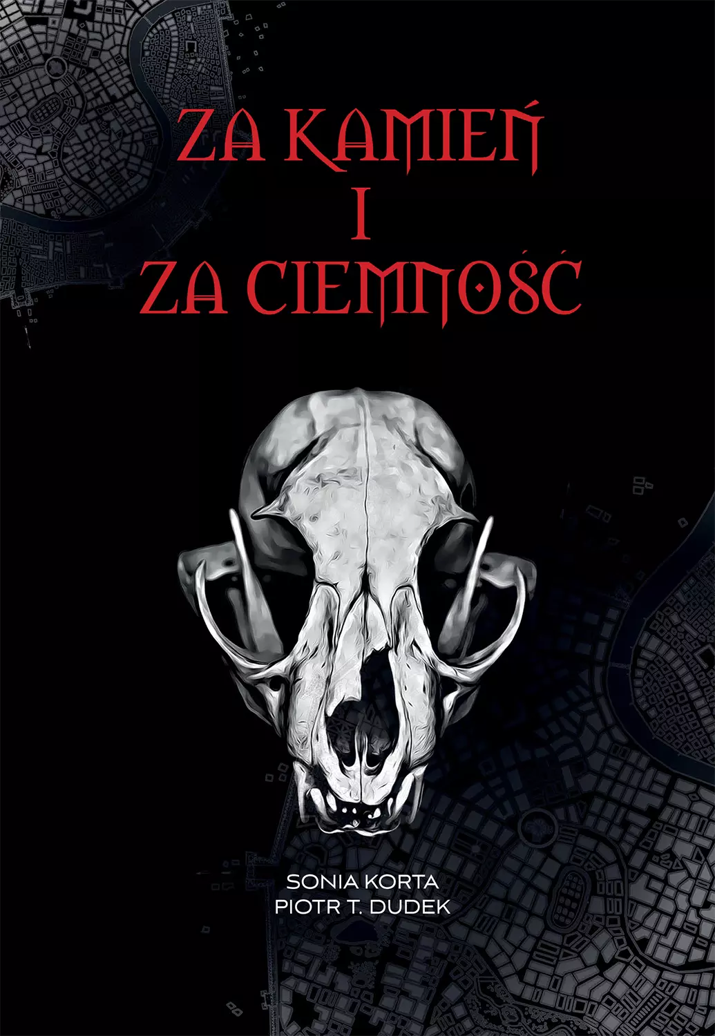 Za kamień i za ciemność - Książki