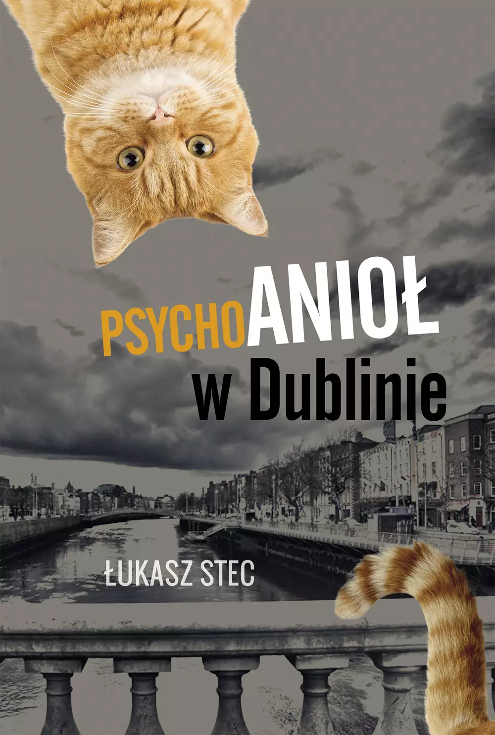 Psychoanioł w dublinie - Książki