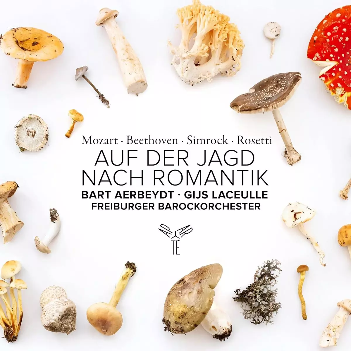 Auf Der Jagd Nach Romantik, CD - Muzyka