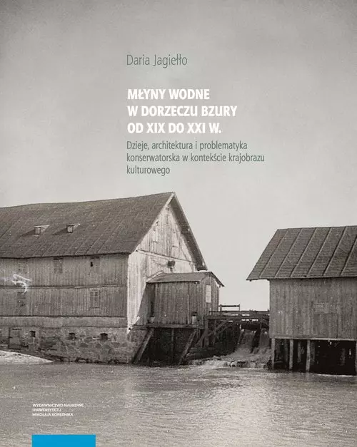 Młyny wodne w dolinie Bzury od XIX do XXI wieku - Książki