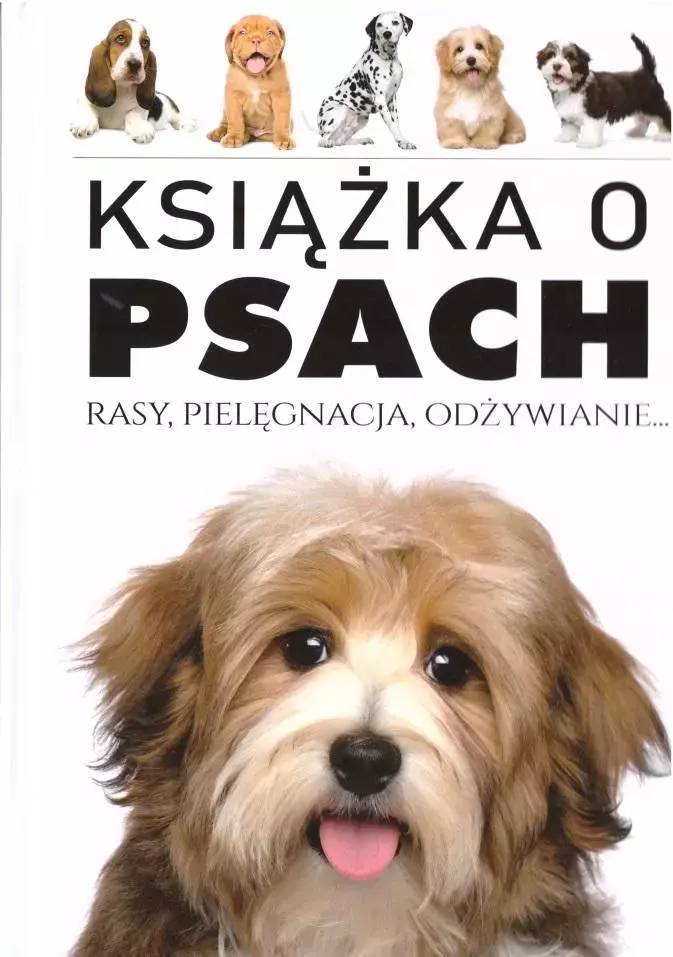Książka o Psach. Rasy, pielęgnacja, odżywianie - Książki