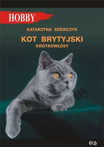 Kot brytyjski krótkowłosy wyd. 4/2024 - Książki