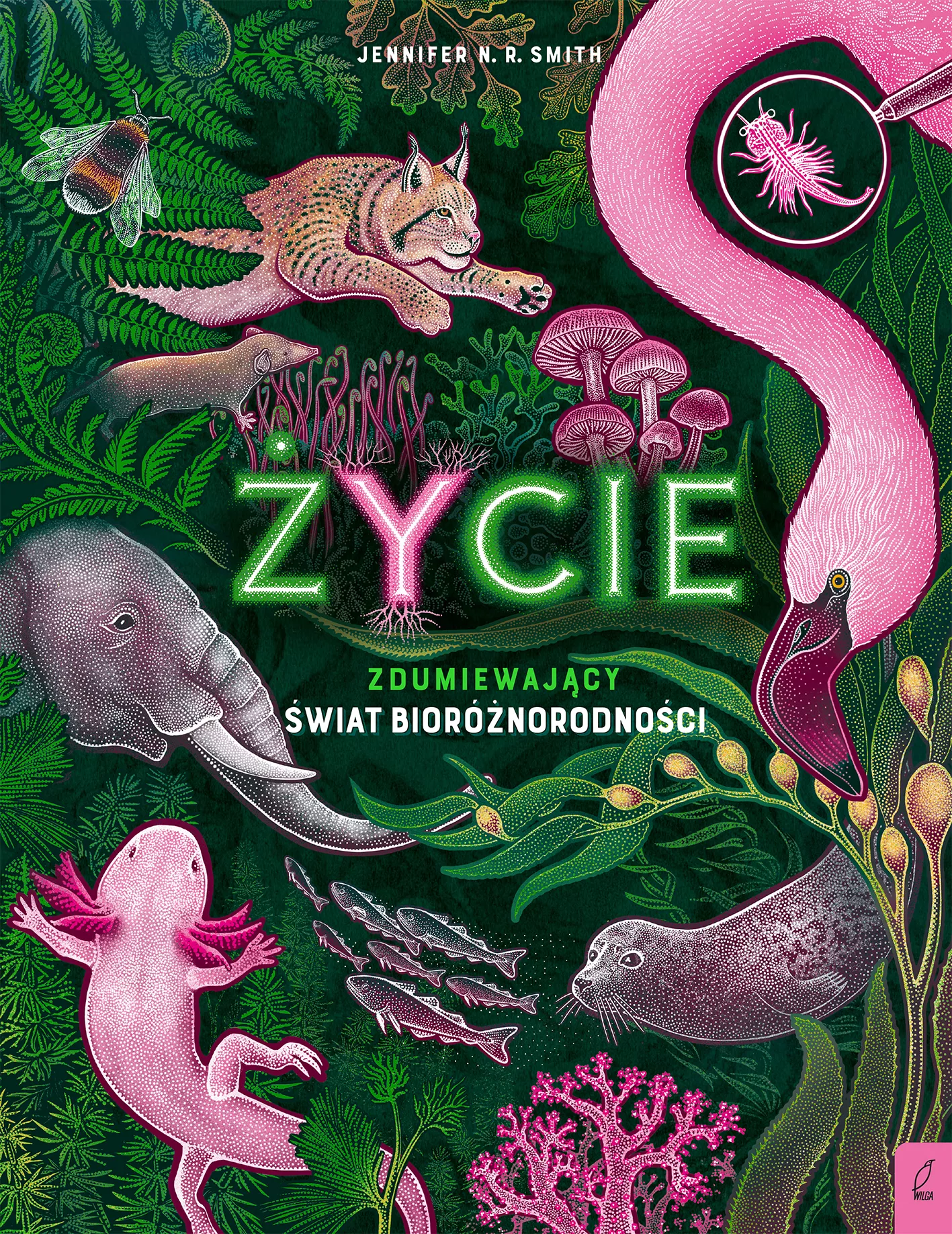 Życie. Zdumiewający świat bioróżnorodności - Książki