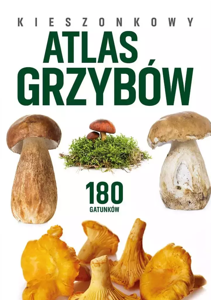 Kieszonkowy atlas grzybów - Książki