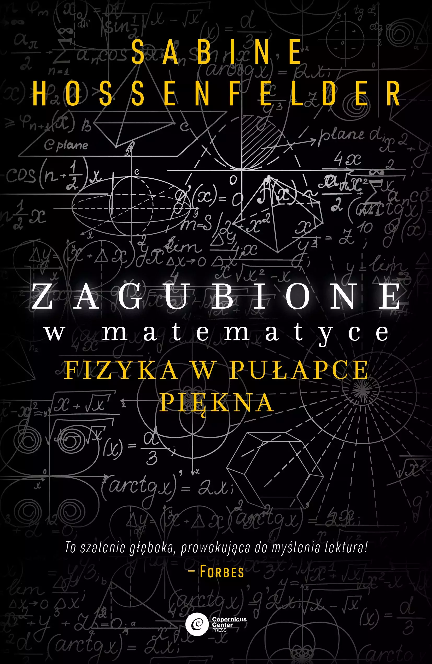 Zagubione w matematyce. Fizyka w pułapce piękna - Książki