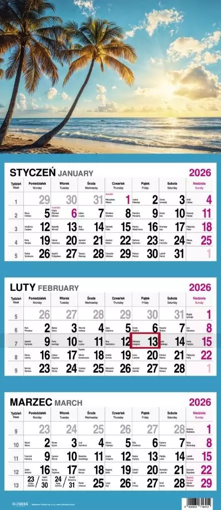 Kalendarz 2026 Trójdzielny Palmy - Książki