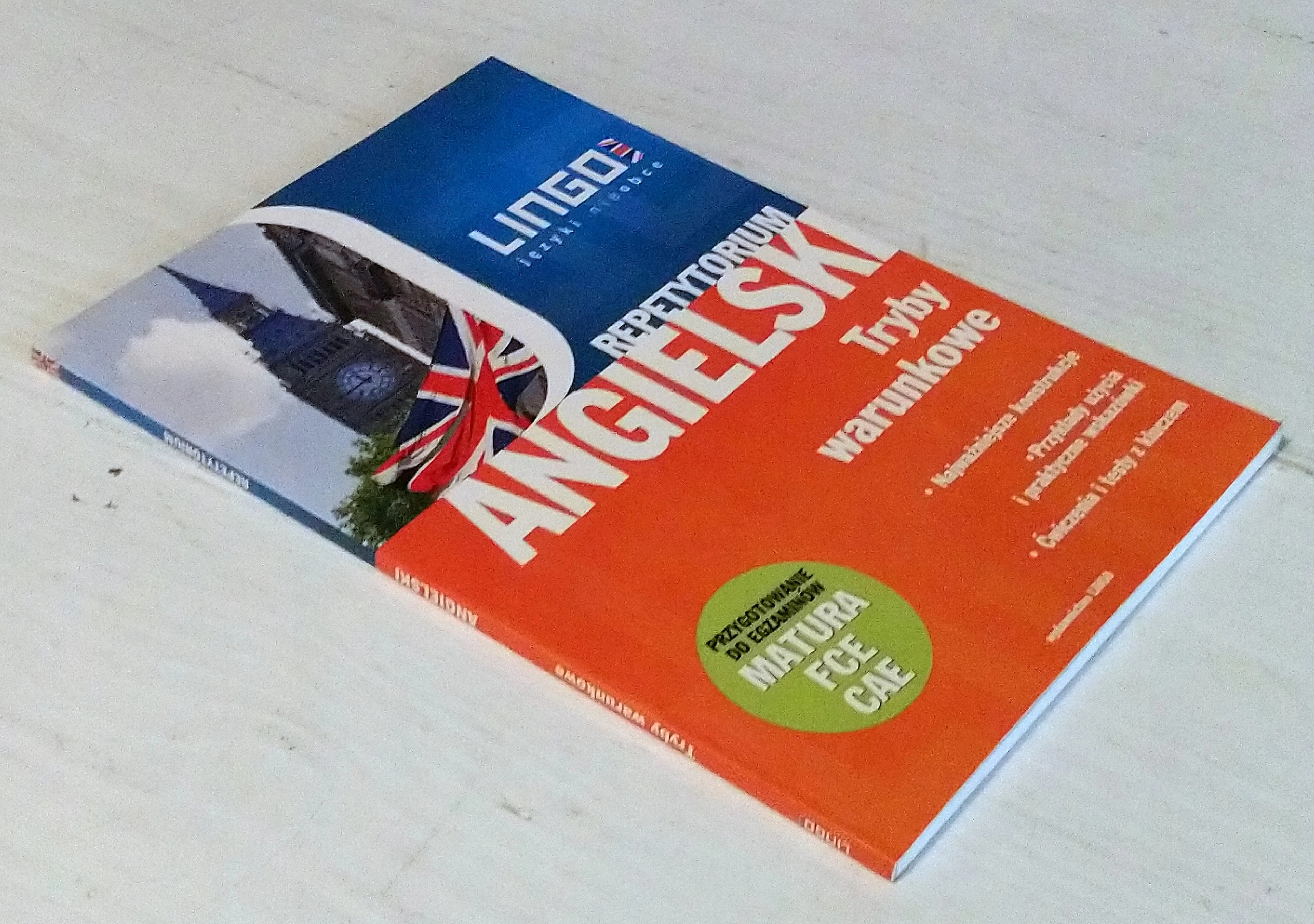Angielski repetytorium. Tryby warunkowe - Książki