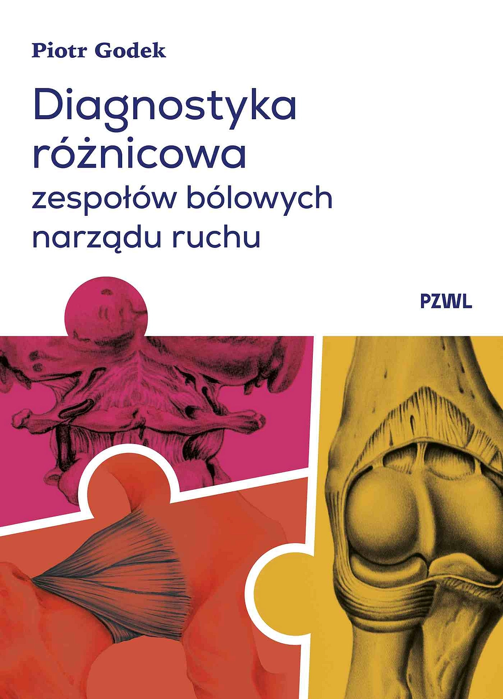 Diagnostyka różnicowa zespołów bólowych narządu ruchu. Badanie i wnioskowanie kliniczne - Książki