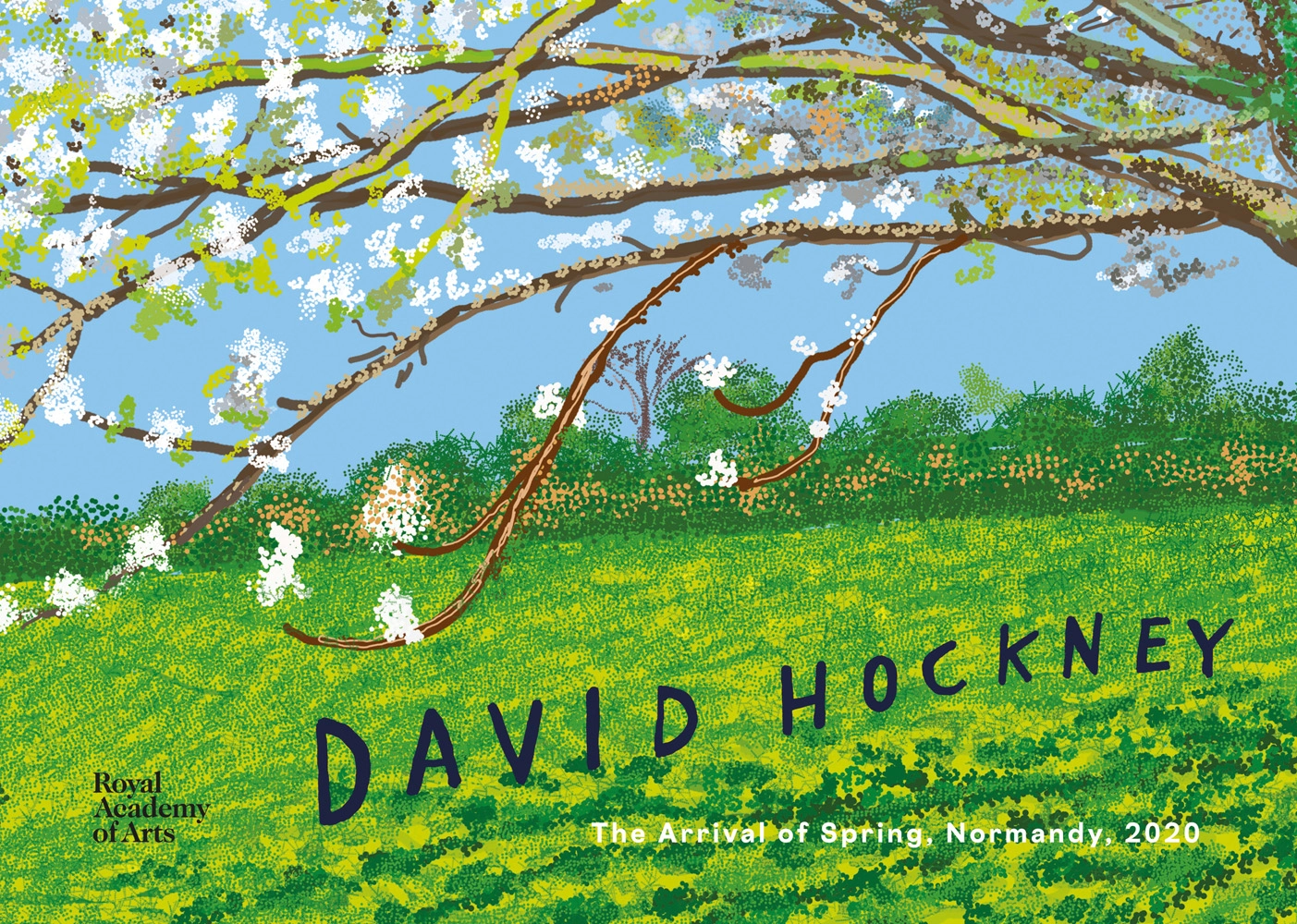 David Hockney - Książki