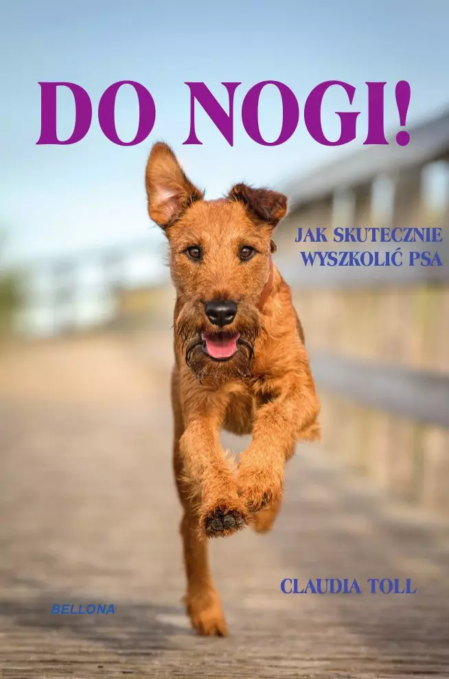 Do nogi! Jak skutecznie wyszkolić psa - Książki