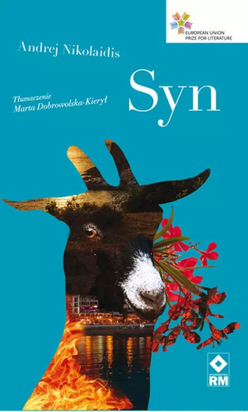Syn - Książki
