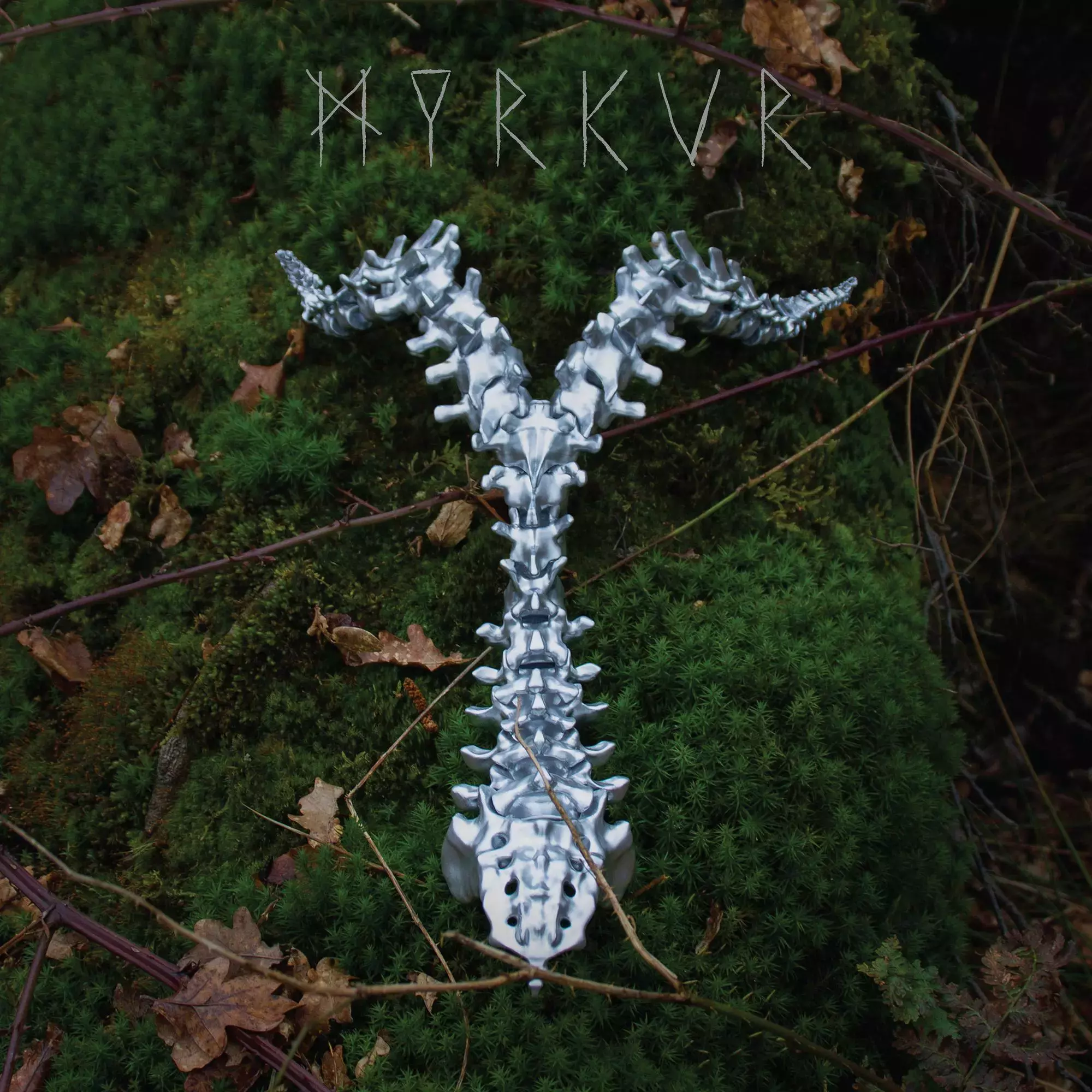 Spine, CD - Muzyka