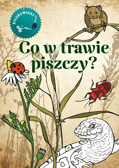 Kolorowanka. Co w trawie piszczy? - Książki