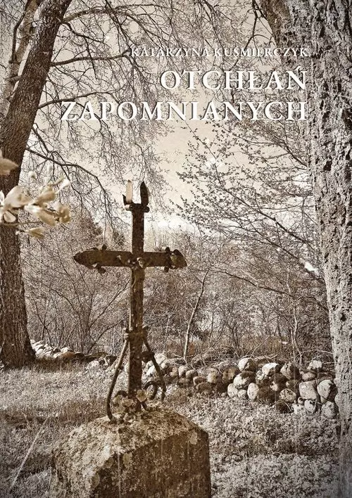 Otchłań zapomnianych - Książki