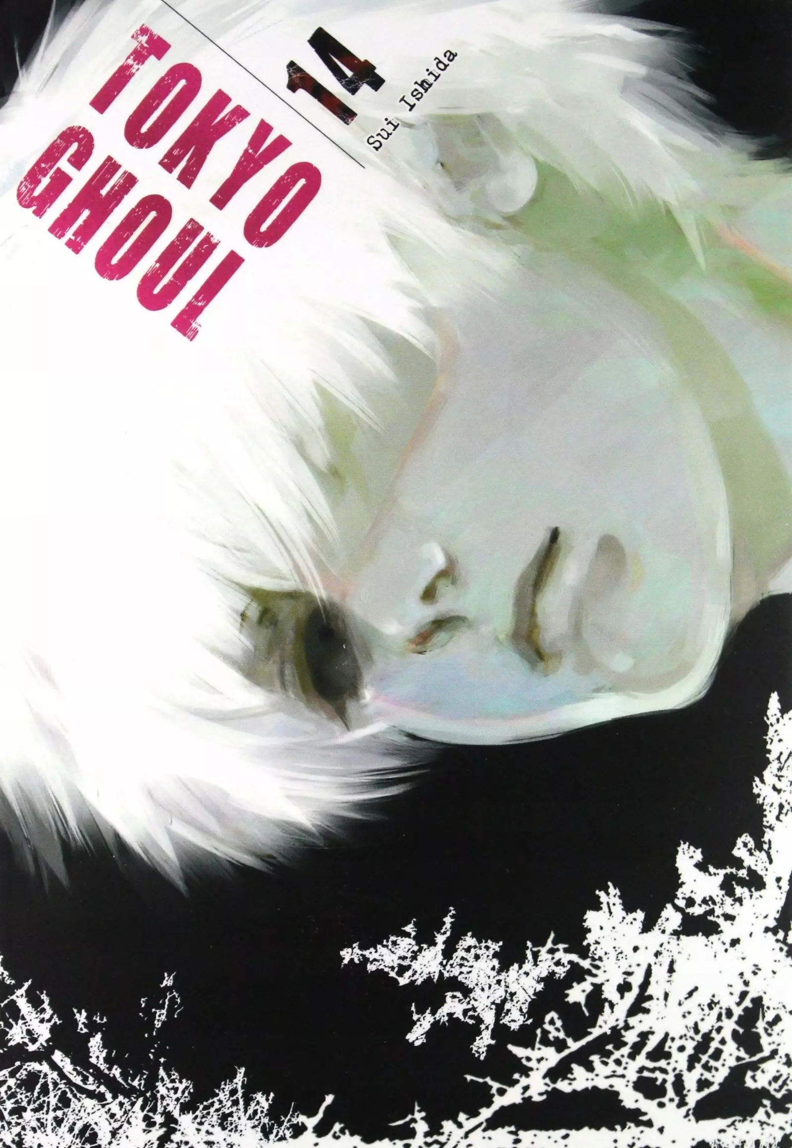 Tokyo Ghoul. Tom 14 - Książki