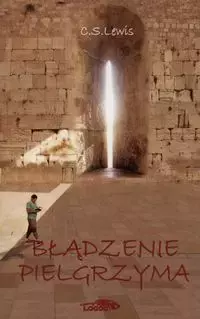 Błądzenie pielgrzyma - Książki