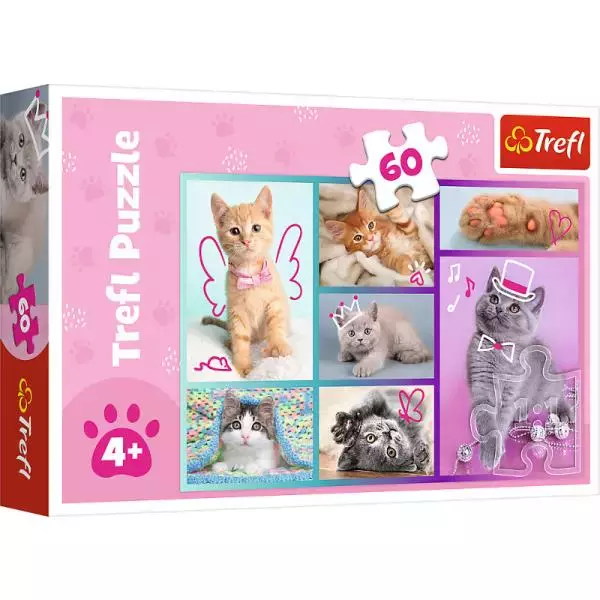 Puzzle 60 Słodkie kociaki TREFL - Puzzle