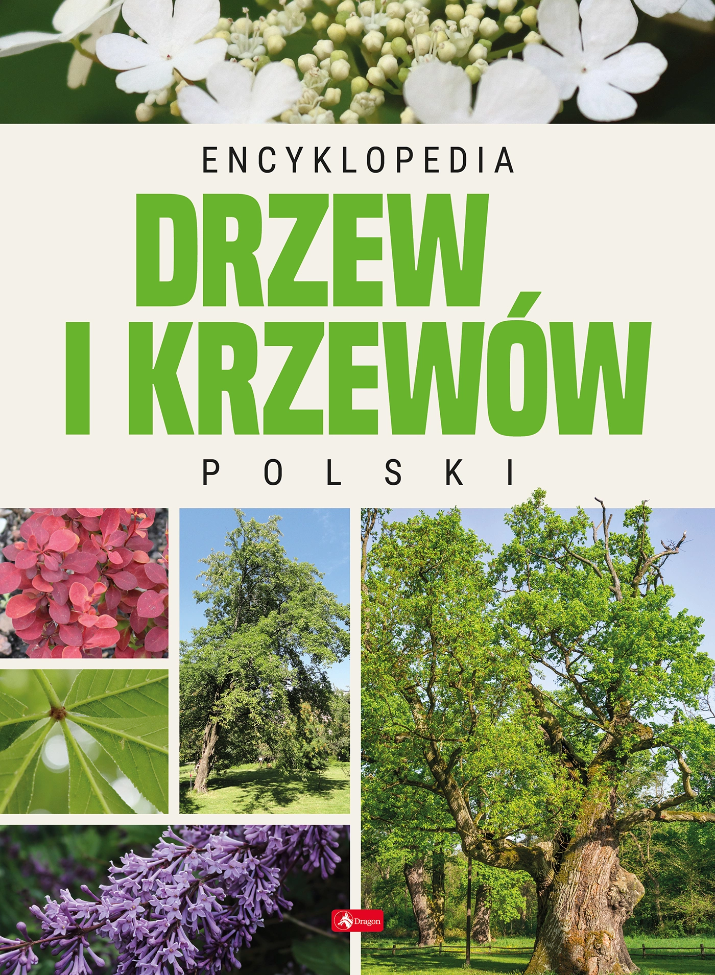 Encyklopedia drzew i krzewów Polski - Książki