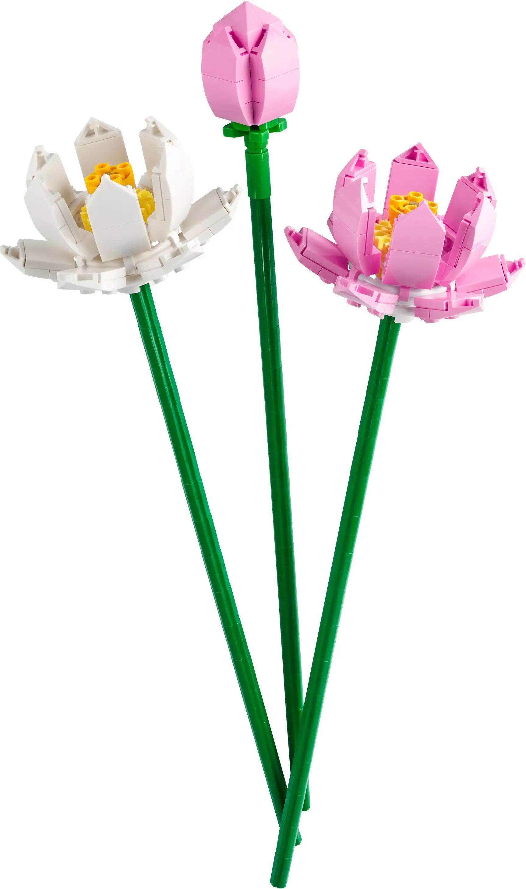 LEGO Flowers Kwiaty lotosu 40647 - Zabawki
