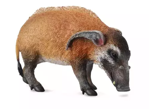 Wieprz czerwony L - Gry