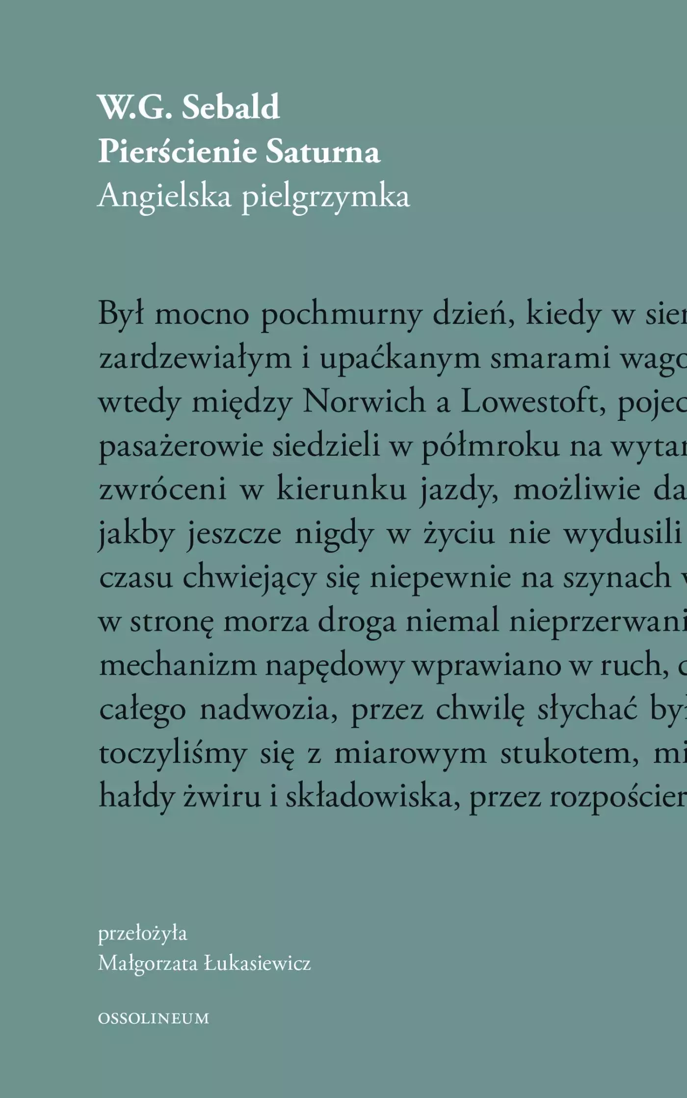 Pierścienie Saturna. Angielska pielgrzymka - Książki