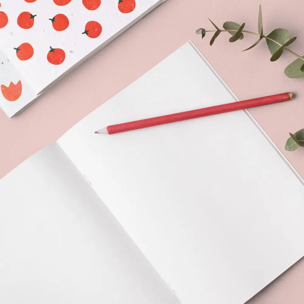 Notes do zasadzenia Resetea – pomidor - Książki