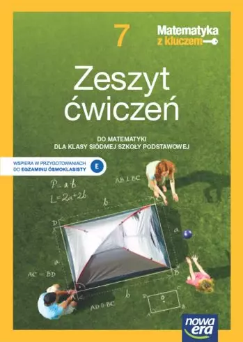 Matematyka z kluczem Neon. Klasa 7. Zeszyt ćwiczeń - Książki