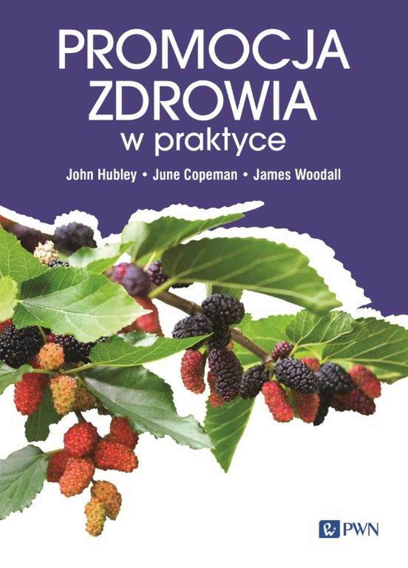 Promocja zdrowia w praktyce - Książki